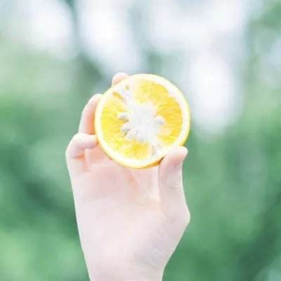 赏金女王免费安卓下载